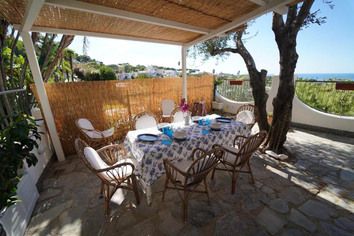 Villa Le Palme Forio di Ischia Exterior foto