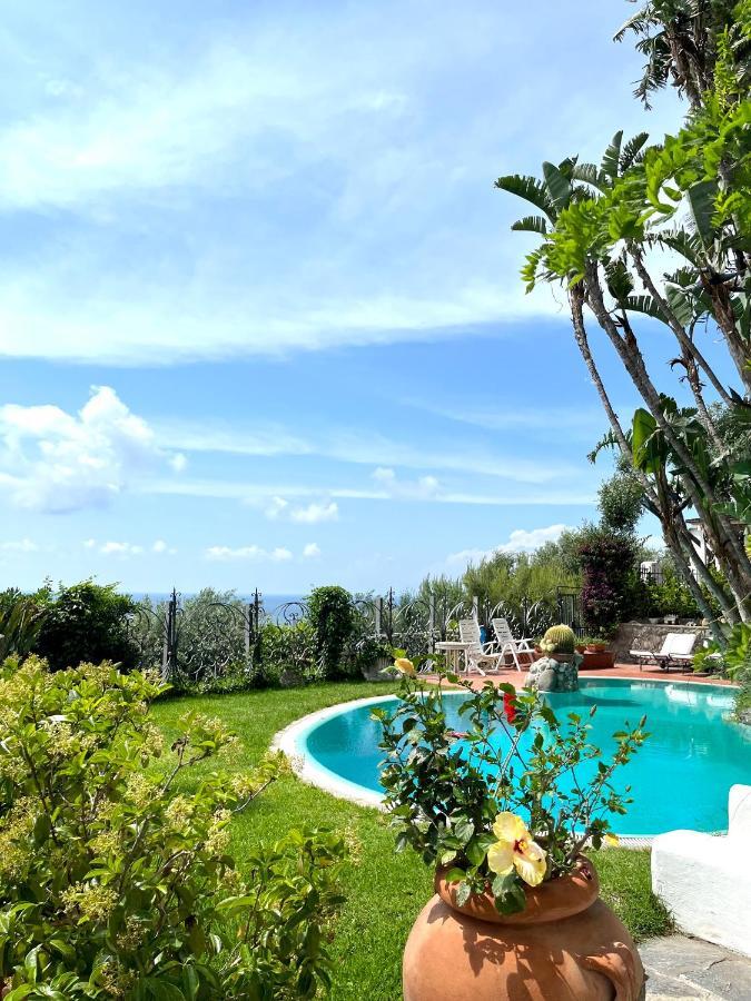 Villa Le Palme Forio di Ischia Exterior foto